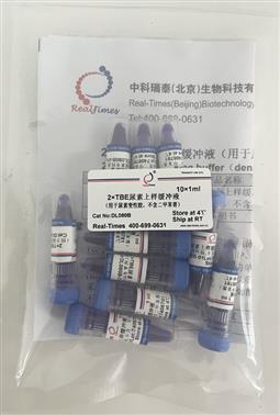 2×TBE尿素上樣緩沖液（用于尿素變性膠，不含二甲苯菁）