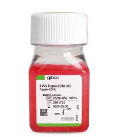 胰酶細(xì)胞消化液（0.25%胰酶，含EDTA，含酚紅）Gibco